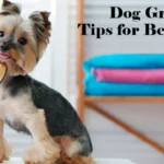 Dog Grooming: A Guide for Pet Owners